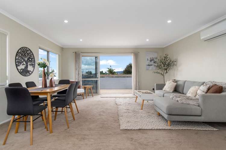 54 Harrier Street Parkvale_3