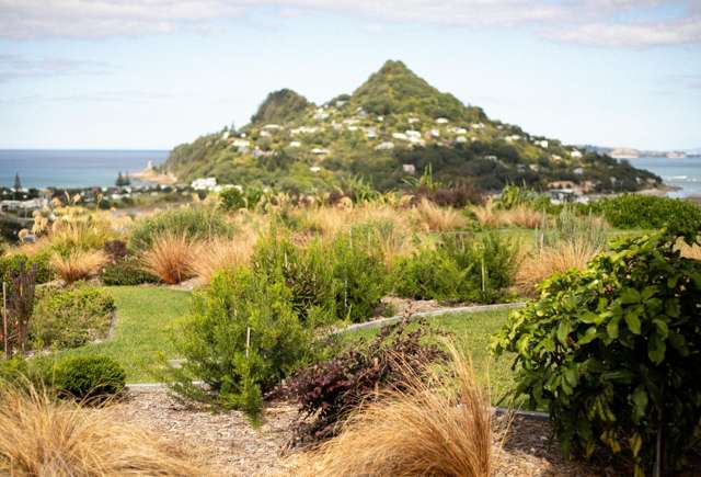7 Mason Rise Tairua_2