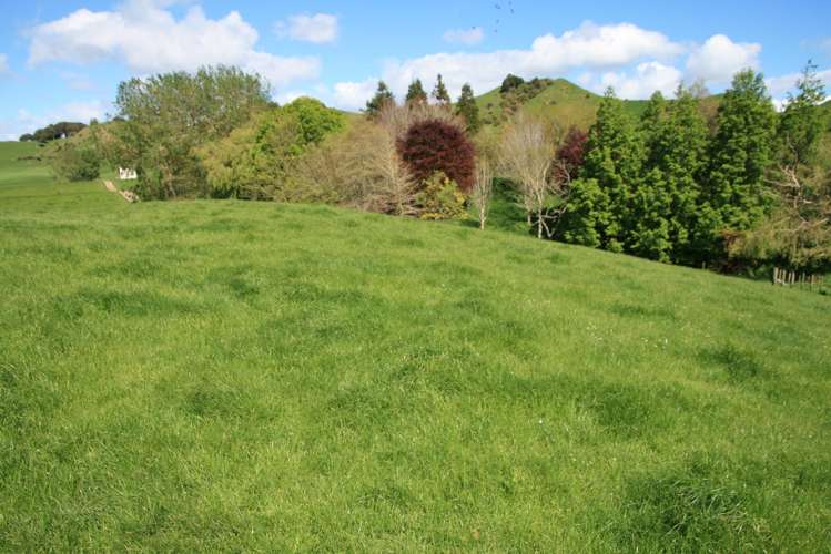 734 Bird Road Pukengahu_18