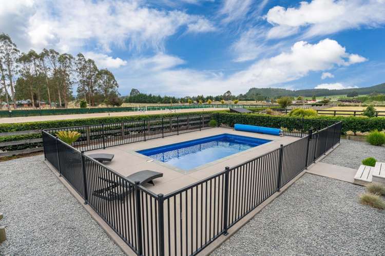 341 White Road Broadlands Forest_15