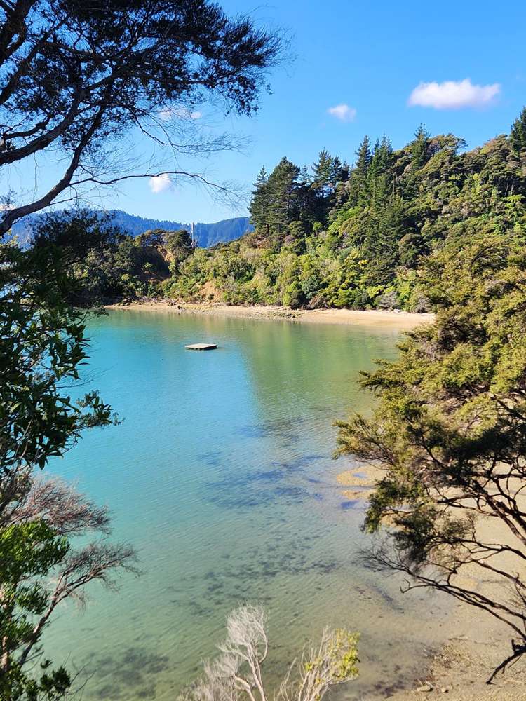 14 Sandy Bay Road Kenepuru Sound_19