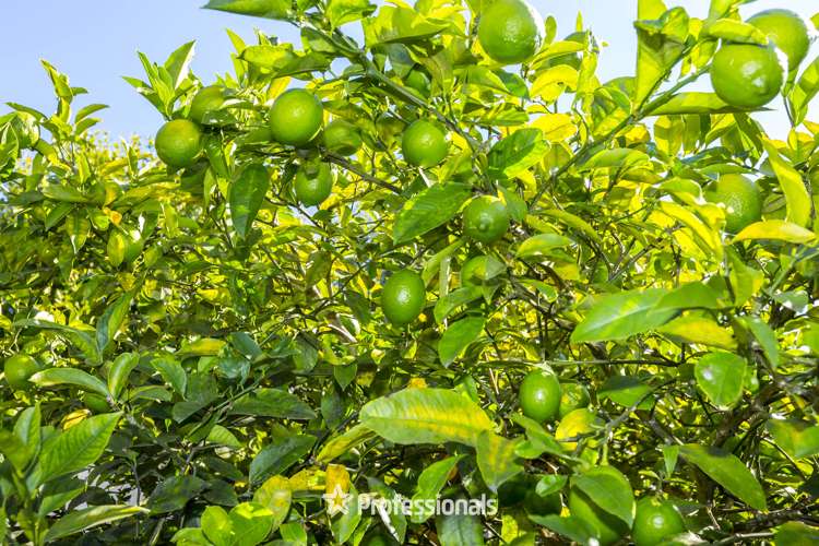 45 Hikurangi Street Trentham_17