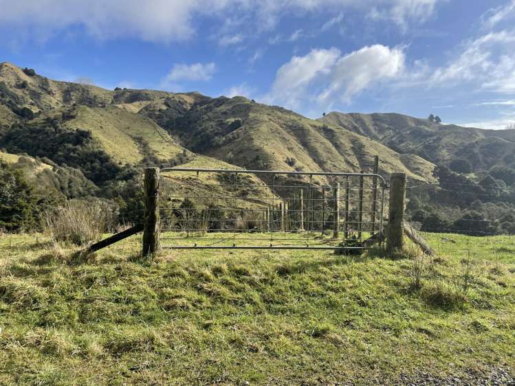 1339 Hikumutu Road Owhango_15