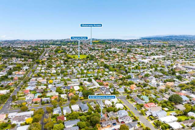 3/16 Waitomo Avenue Mount Eden_4