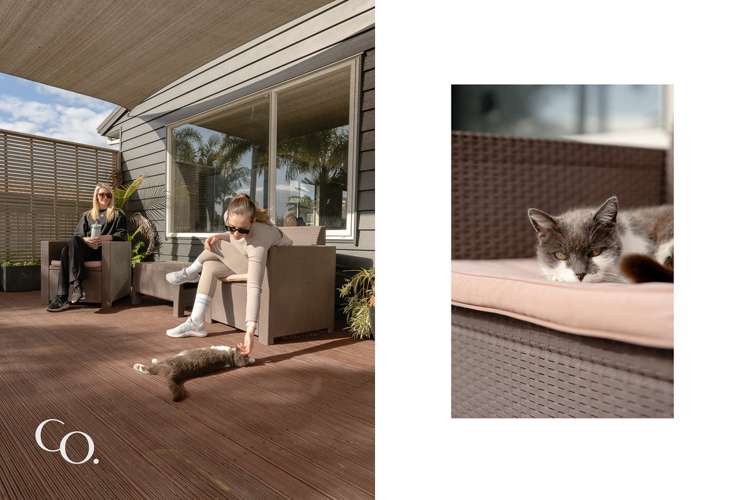 377 Waihi Road Judea_18