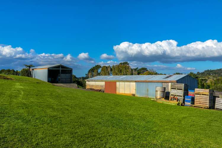 117 Mahana Road Waimauku_18