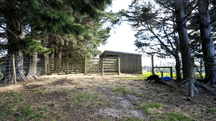 42 Falcon Street Palmerston_26