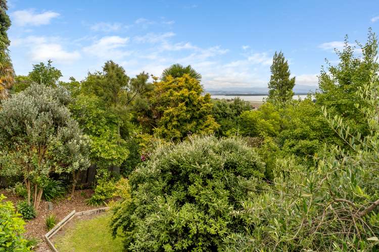 52 Stansell Avenue Tahunanui_1
