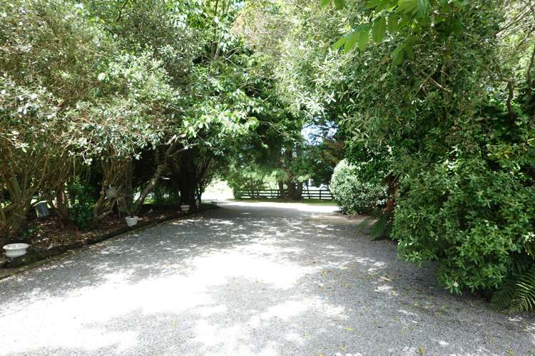 602 Hokio Beach Road Hokio Beach_23