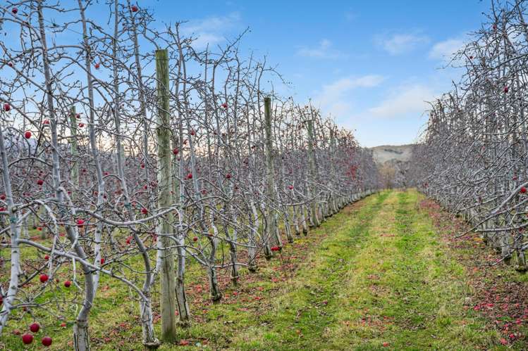 213 Kinaston Road Roxburgh_11