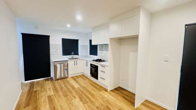 15A Tomlinson Street Hillpark_2