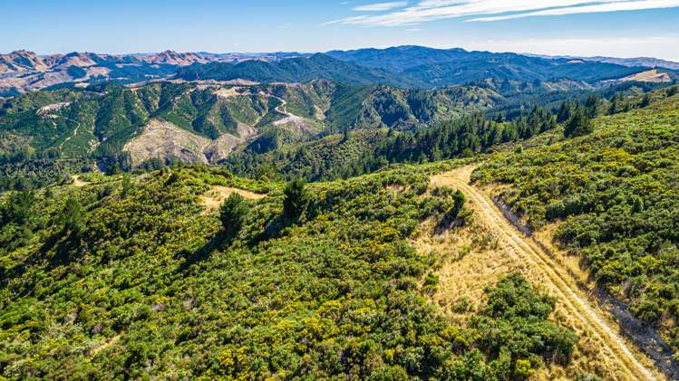 Ngahape Road Masterton_7