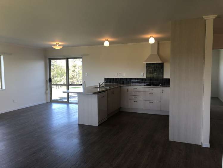 166e Postman Road Dairy Flat_9