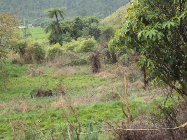 858 Shwy 67 Nikau Kahurangi National Park_4