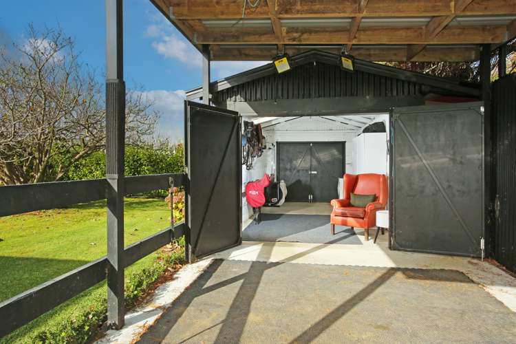 86 Saddleton Road Clarks Beach_14