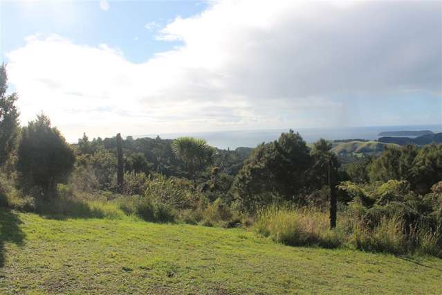 Wainui Road Whangaroa_3