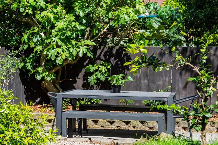 36b New Windsor Road Avondale_9