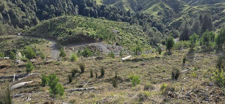 Junction Road Stratford_14