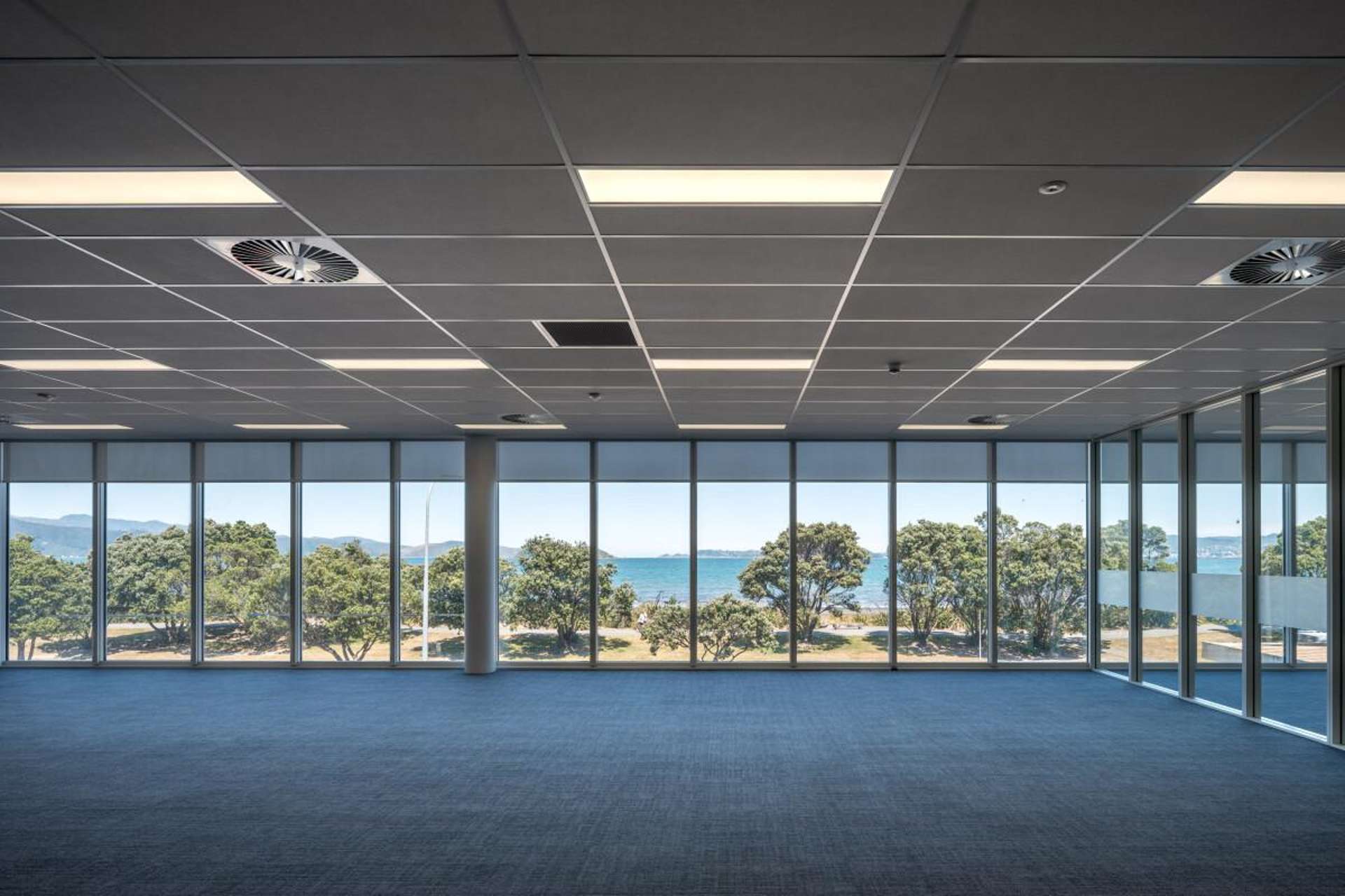 81 The Esplanade Petone_0