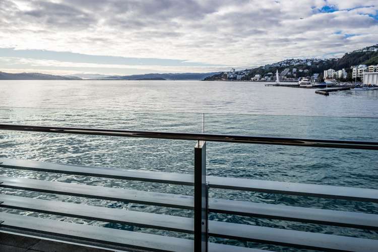 1a/6 Clyde Quay Wharf Te Aro_6