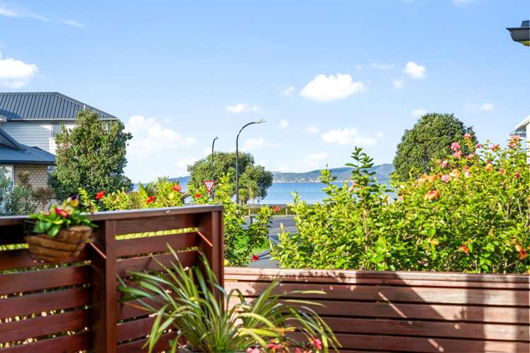 9 Trevally Place Snells Beach_1