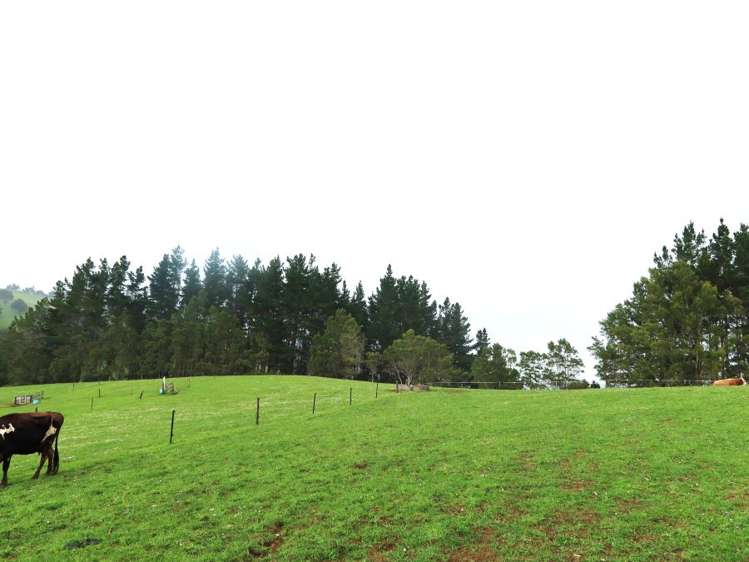 37 Donnellys Station Road Dargaville_5