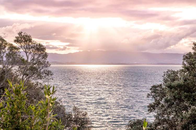 16 Walnut Grove Omokoroa_2