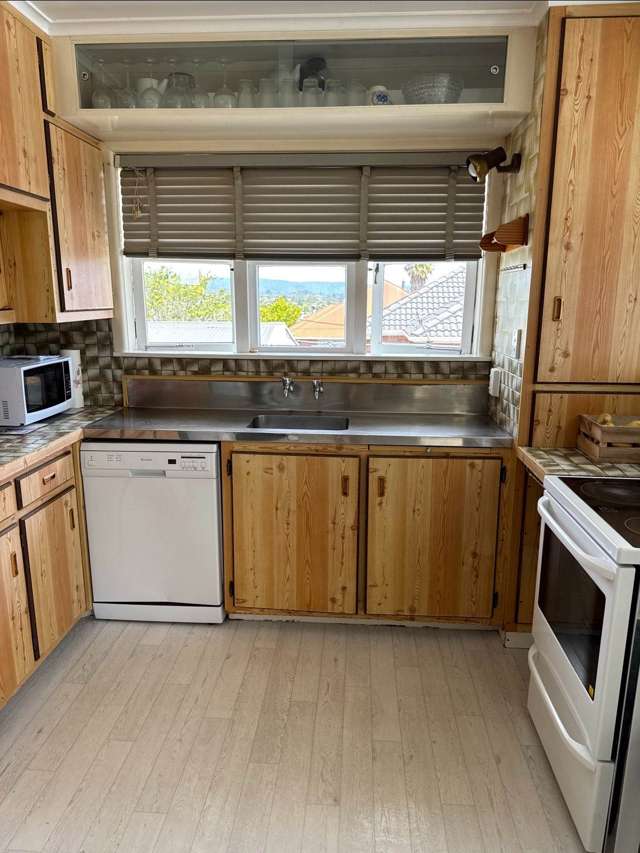 33 Savoy Road Glen Eden_4