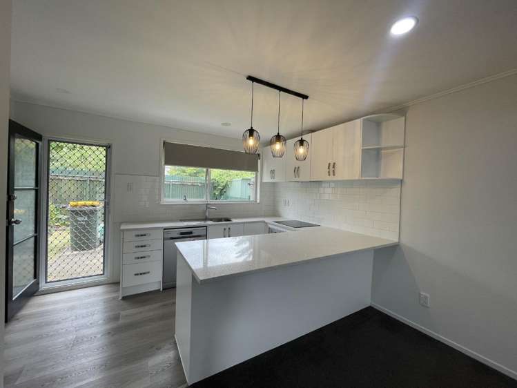 2/1 Pine street New Lynn_9
