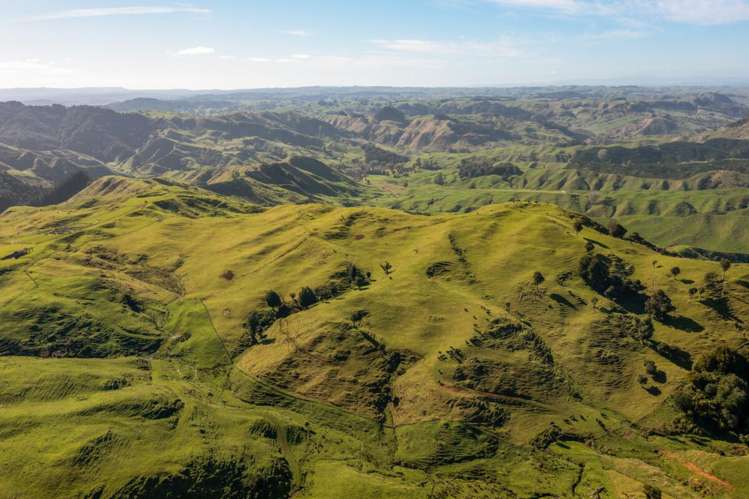 231 Leitch Road Piopio_10