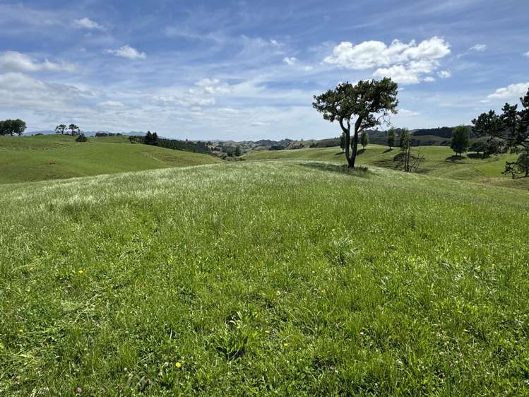 829 Honikiwi Road Otorohanga_10