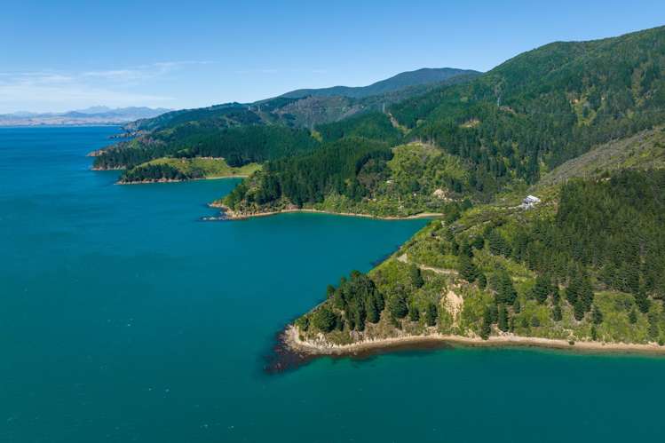 1786 Port Underwood Road Marlborough Sounds_57