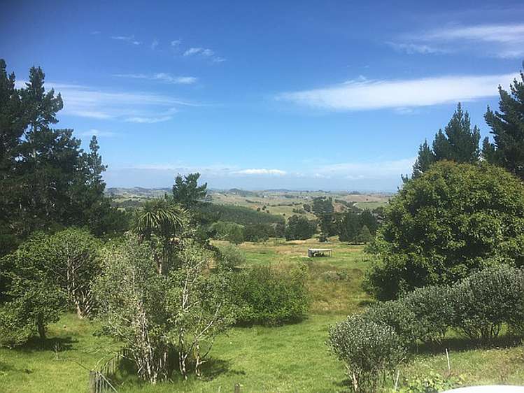 843 Whakapirau Road Whakapirau_28