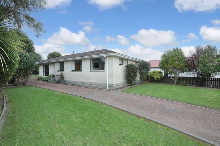 12 Hammond Street Bulls_19