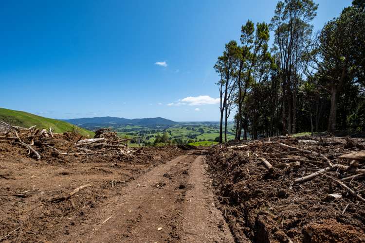 Te Rore Road Kaitaia_9