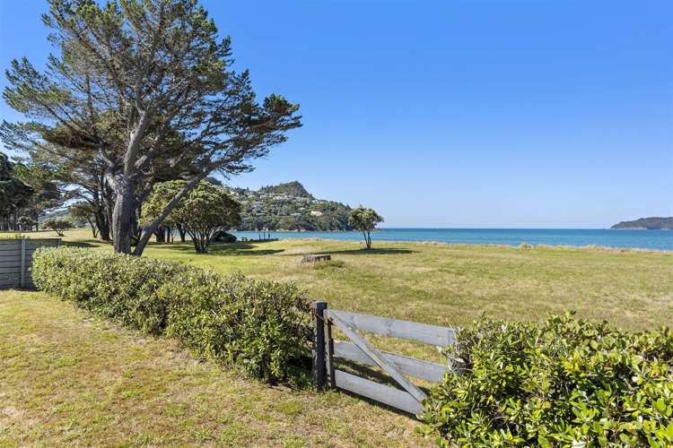 22 Mccall Avenue Pauanui_28