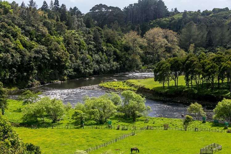 317 Mangorei Road Merrilands_11