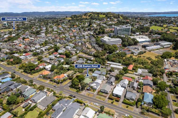 23b Euston Road Sandringham_13