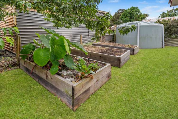 43 James Mcleod Road Shelly Beach_12