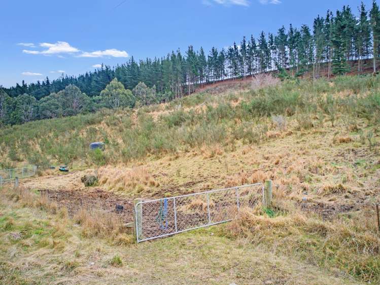 Diggers Gully Road Kurow_20