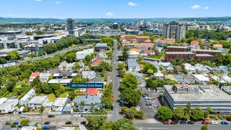 25a Carlton Gore Road Grafton_6