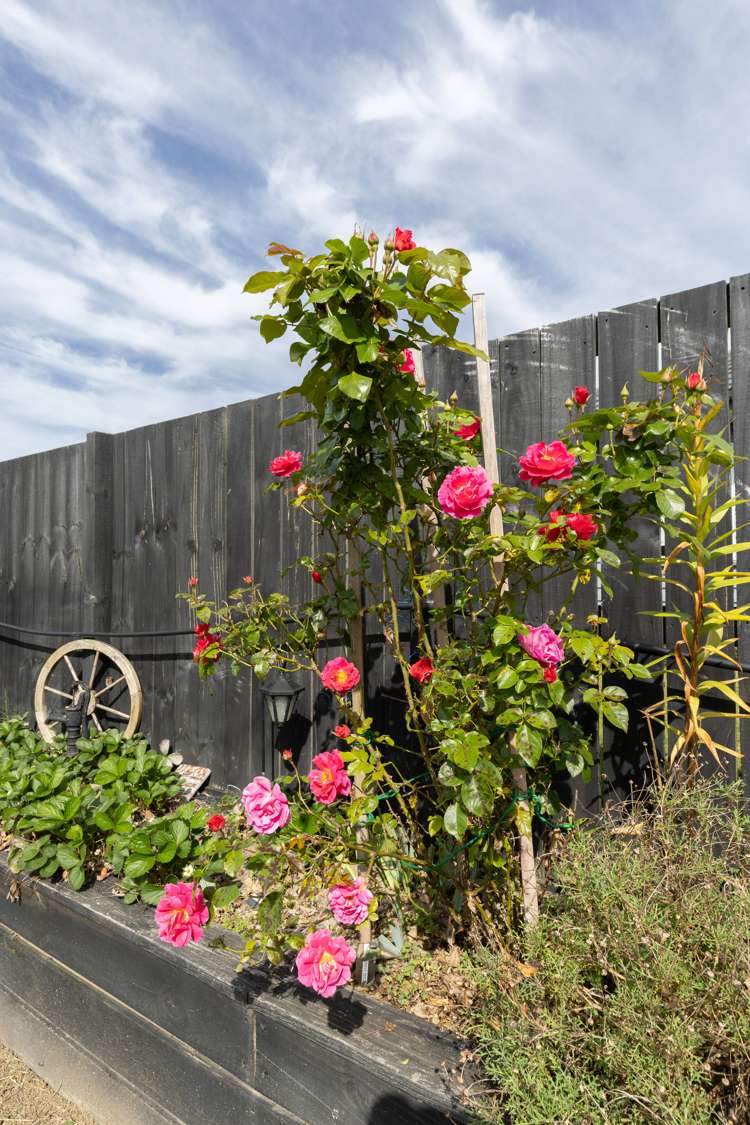 6 Matau Close Te Kauwhata_22