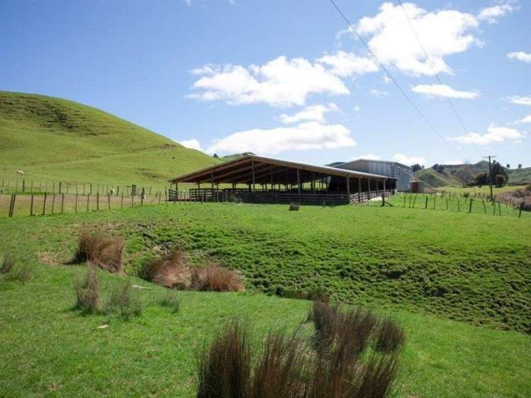 1190 Ohura Road Waimiha-Ongarue_19