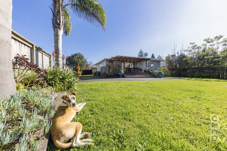 33 Maude Street Riverhead_5