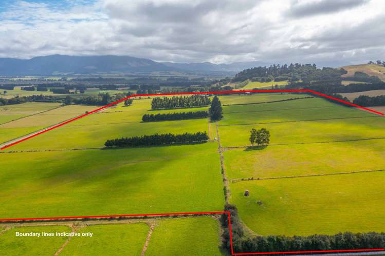 345 Summerhill Road Cust_4