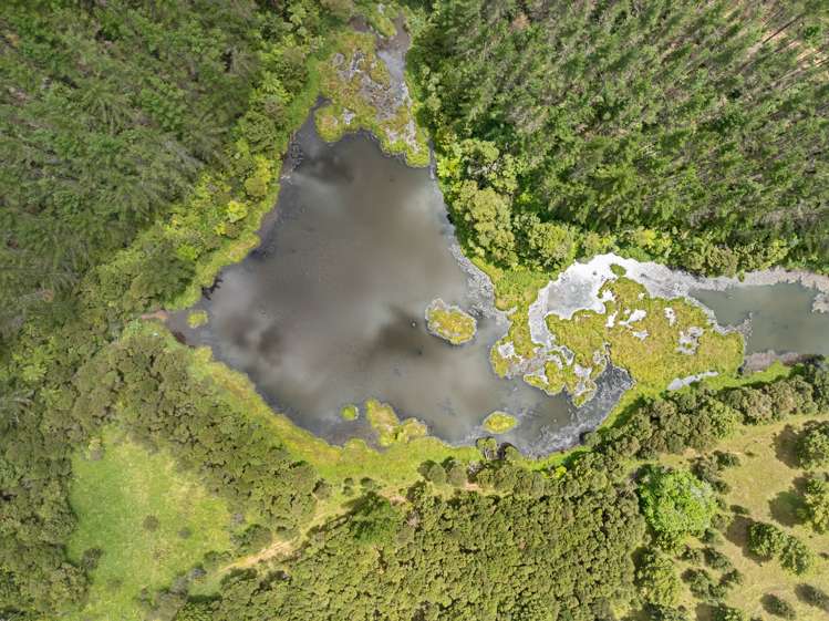 15 Waiparera Road Parua Bay_5