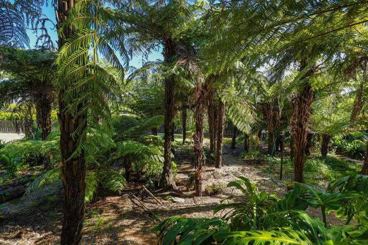 22b Wainoni Heights Greenhithe_5