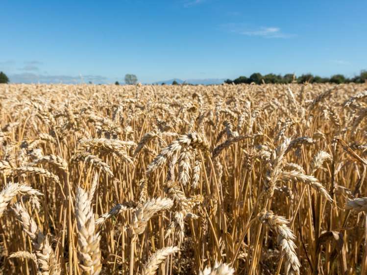 198 Mill Road Westerfield_8