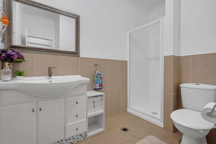 29 Triumph Road Flat Bush_12