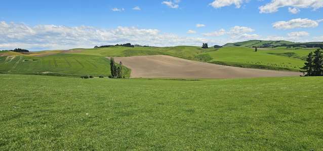 406 Byars Road Chatton North_2